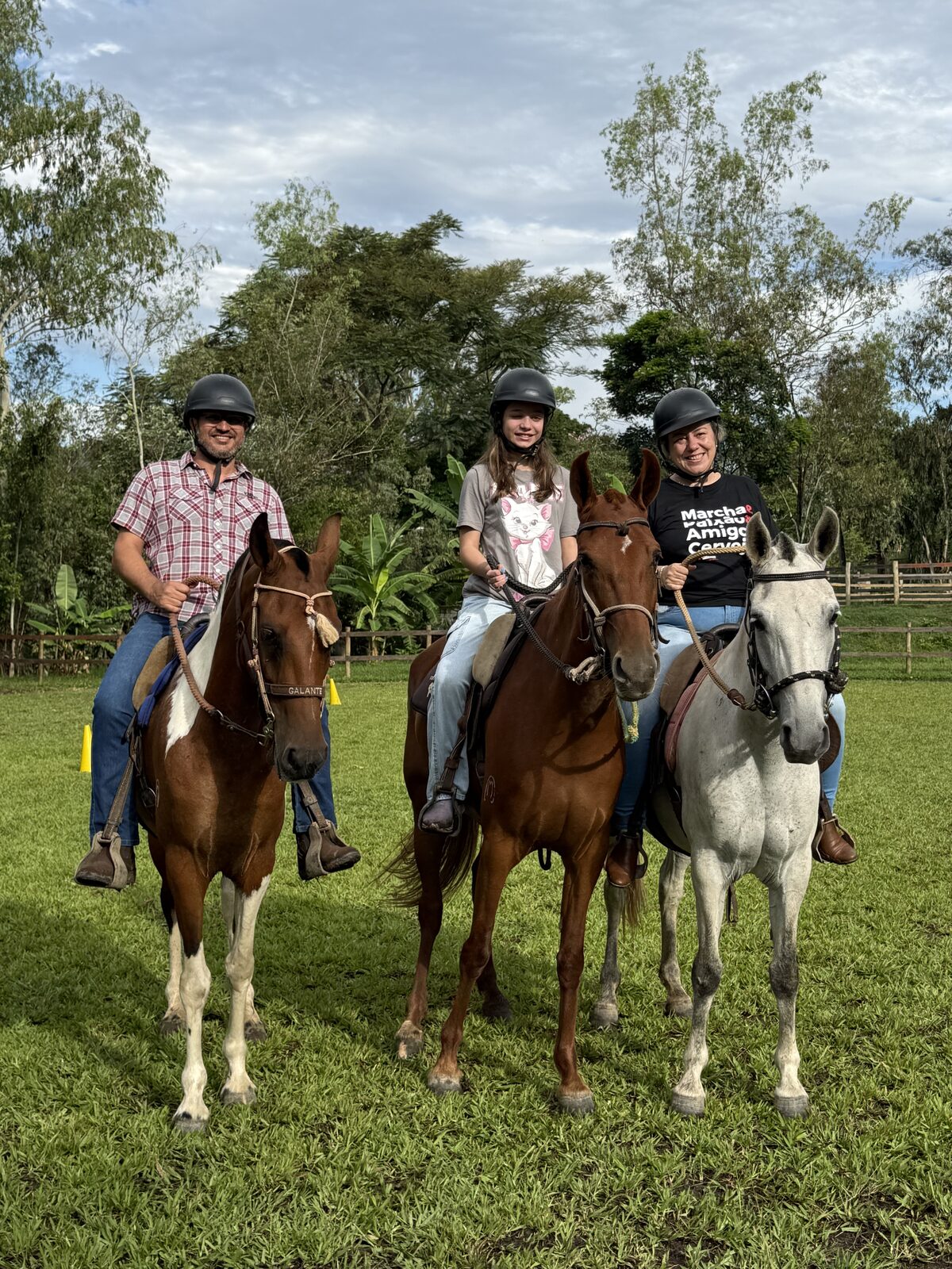 Famílias
