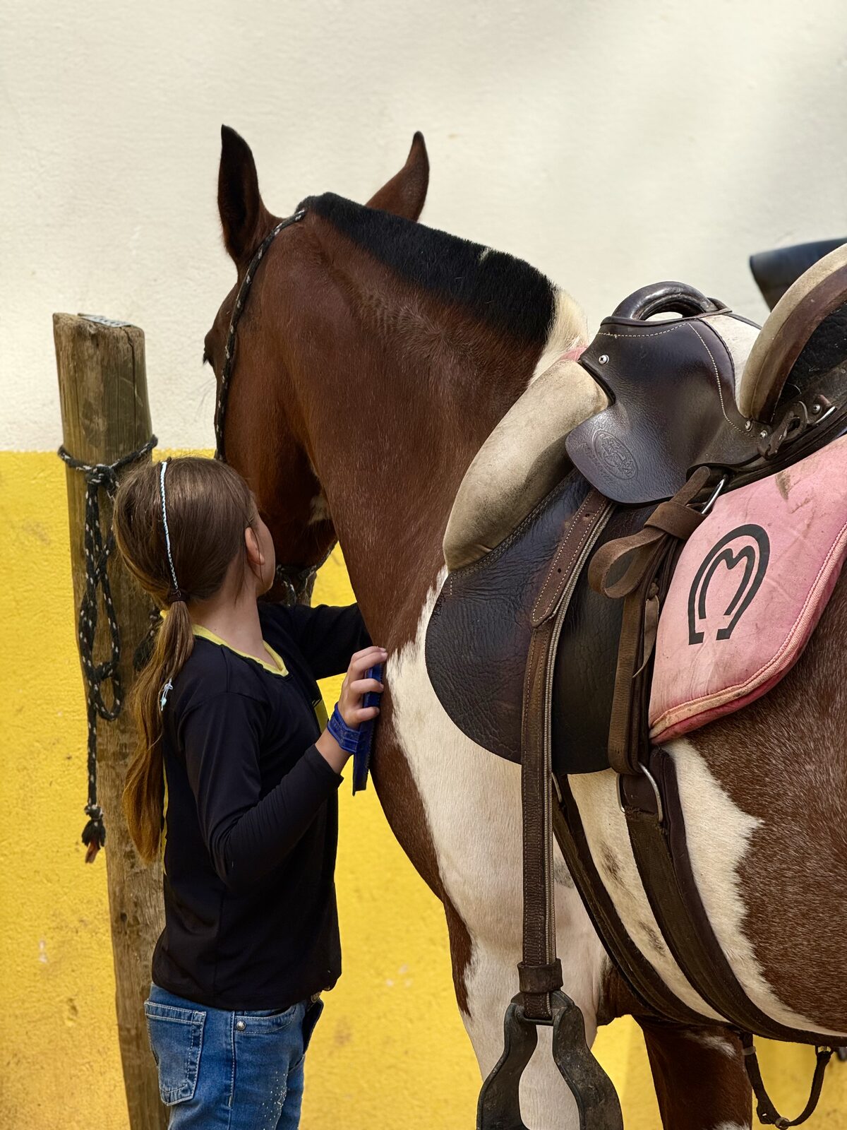 Experiência equestre no Haras Porto Nobre