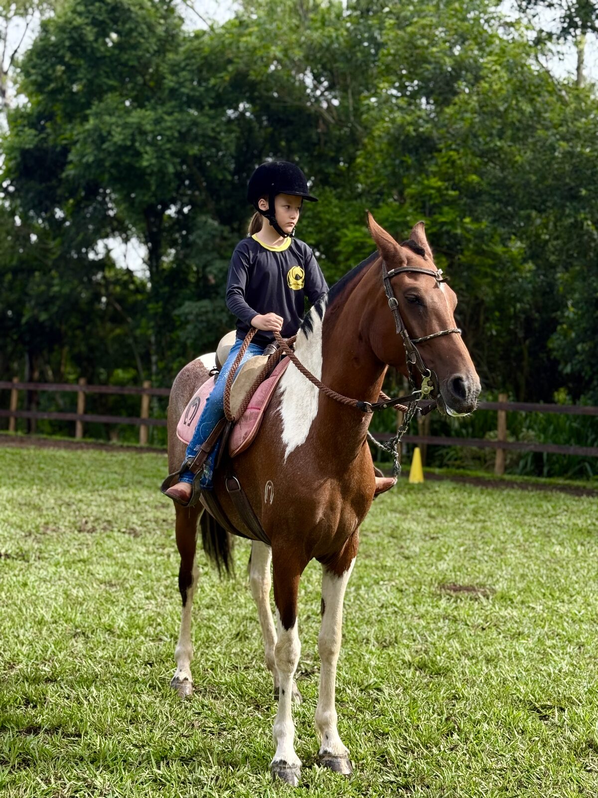 Experiência equestre no Haras Porto Nobre